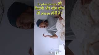 Leptospirosis की कितनी और कौन कौन सी phase होती है  youtubeshorts leptospirosis shortsviral [upl. by Dionisio]