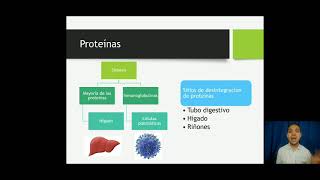 Indicadores metabólicos del perfil hepáticoParte 2 Proteínas totales albúmina y globulinas 16 [upl. by Eisle]