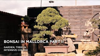 Bonsai in Mallorca II part one [upl. by Llenreb886]