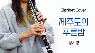 제주도의 푸른밤  성시경 클라리넷 연주 커버  Clarinet Cover [upl. by Naasar]