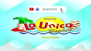 La Unica Tropical  Mix  DJ LULA  Partido En Dos Si Esta Casa Hablara Cual Adios Etc [upl. by Acillegna38]