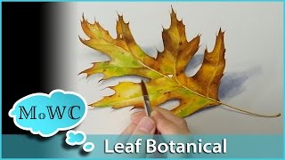 Realistic Leaf Painting in Watercolor – Botanical Illustration [upl. by Leuname]