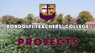 Projects at Bondolfi Teachers College [upl. by Ycrep]