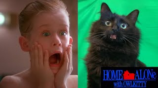 Home Alone with my Cat Behind the Scenes [upl. by Ahsilif218]