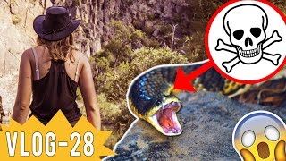 Elle frole LA MORT dans le BUSH AUSTRALIEN ★ VLOG 28 happysoulwanderer [upl. by Hermes]