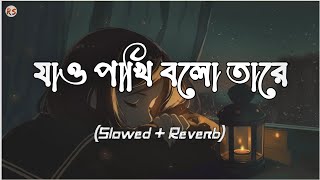 Jao Pakhi Bolo Tare SlowedReverb  Krishnokoli  Monpura  যাও পাখি বলো তারে [upl. by Pirzada]