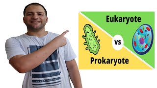 Prokaryotes and Eukaryotes comparison [upl. by Felic]