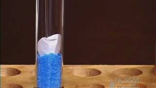 Copper Sulfate and Iron Nail Lab Part 1 [upl. by Sopher]