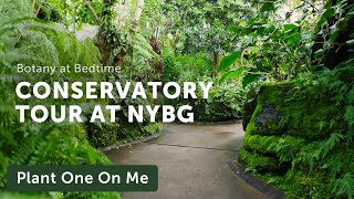 New York Botanical Garden CONSERVATORY Tour — Ep 356 [upl. by Wilde]