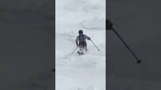 Stabilized Mogul Skiing [upl. by Nathanial]