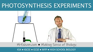 Photosynthesis Experiments starch leaf and pond weed  GCSE Biology 91 [upl. by Cordie]