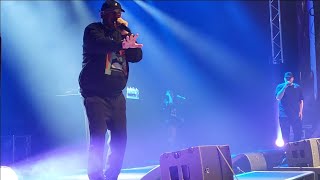 Kool Savas  BrachlandFuturamaRapfilm Nachteulen Festival Live Sursee Switzerland 12102024 [upl. by Haral]