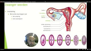 Havo 3 Thema 4 Voortplanting en Seksualiteit Basisstof 4 Zwanger worden Deel 2 [upl. by Nosnah]