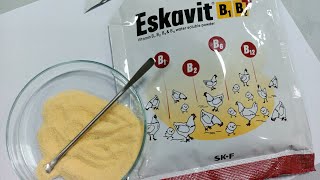 Eskavit B1 B2 B6 B12 Powder [upl. by Burris271]