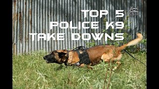 Top 5 Police K9 Take Downs [upl. by Hulen409]