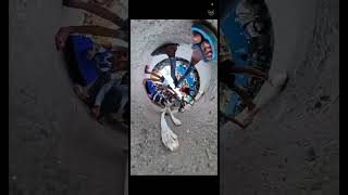 Funny Video comedy viral comedy insta360camera funny [upl. by Mollie]