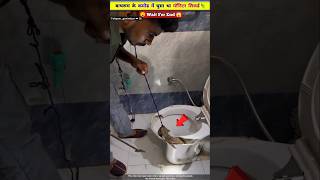 Toilet के अंदर फंसे मॉनिटर लिजर्ड की बचाई जान 😍❤ [upl. by Malonis]