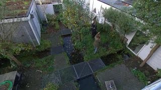 Scandinavische tuin  EIGEN HUIS amp TUIN [upl. by Bradman]