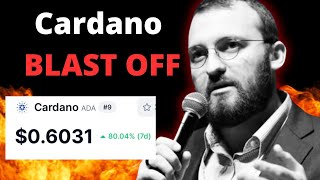 Cardano Price Breakout  Stellar XLM 2025 Predictions  SUI Coin’s Epic Rise Begins [upl. by Eremehc272]