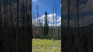 Trujillo Meadow Campground with View of the Reservoir in the San Juan Mountains of Colorado [upl. by Elisabetta]