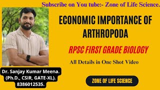 Economic Importance of Arthropoda For RPSC First Grade Biology by Dr Sanjay Meenarpscfirstgrade [upl. by Petulah]