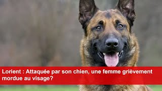 Lorient  Attaquée par son chien une femme grièvement mordue au visage [upl. by Aimet]