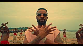 Fally Ipupa  Afsana Clip Officiel [upl. by Duwalt]