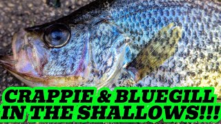 Try These EASY Techniques To Catch CRAPPIE And BLUEGILL [upl. by Okihcim28]