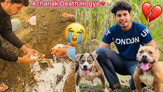 Ghumta Firta Achanak Death Hogye😭Unexpected💔RIP🙏🏻 [upl. by Charlene]