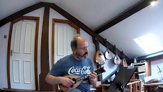 Jouyssance Vous DonnerayTourdion T Arbeau 1589 on mandolins [upl. by Thom]