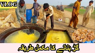 Organic Jaggery Powder Making Process  Jaggery Making  Gurr Making  Village Life in Hindi [upl. by Freeland]