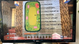 ASMR Minecraft Plant Garden amp Biology [upl. by Eelaras]