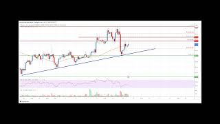 Litecoin LTC Price Analysis Rally Could Extend Toward 80 [upl. by Aihselat]