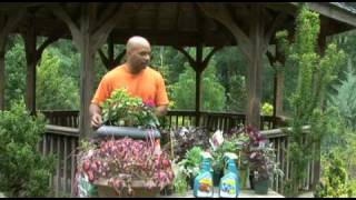 Organic Container Vegetable Gardening for Beginners from William Moss [upl. by Krusche]