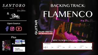 Backing Track FLAMENCO [upl. by Ardnasak]