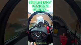 Emergency Landing MotorGlider shorts [upl. by Wendell]