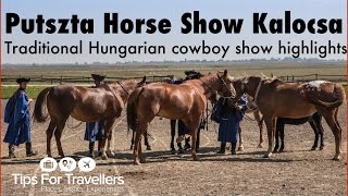 Hungarian Puszta Horse Show Kalocsa Hungary Highlights [upl. by Odarnoc]