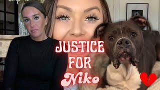 CANCEL BRITTANY DAWN… AVOIDS ACCOUNTABILITY OVER FAILING HER DOG a disturbing pattern [upl. by Lehctim]