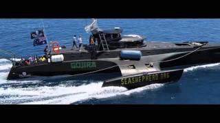 Gojira  Sea Shepherd [upl. by Brookes650]