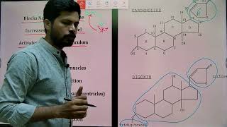 Digoxin Mechanism I Cardiac glycoside I MHSRB Pharmacist I Telangana Pharmacist I [upl. by Nicolau844]