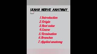 Ulnar Nerve Anatomy 📖 medicalnotes ulnarnerve anatomy [upl. by Ykcul294]