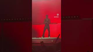 Wizkid performing Ginger in Dominica 🇩🇲 world music festival [upl. by Garrott]