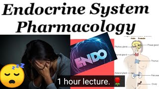 ENDO PHARMACOLOGY LECTURE minikatzung pharmacology lectures in 1 hour 🌹 🌹 🌹 [upl. by Baler818]