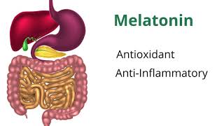 Understanding Melatonin with Dr Carrie Jones [upl. by Atiroc149]