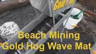 First Beach Gold 2019 With The New Gold Hog Wave Mat [upl. by Clovis]