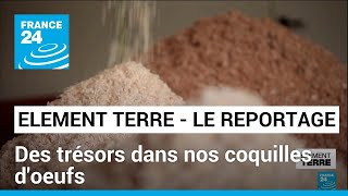 Des trésors dans nos coquilles dœufs • FRANCE 24 [upl. by Swehttam]