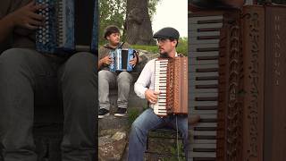 Le Reel de Bellechasse  Musique Traditionnelle Québécoise reel montreal quebec folkmusic duet [upl. by Jaqitsch]