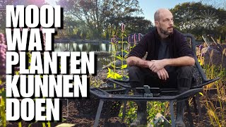 Planten rondom een vijver maken het af Mooie planten voor biodiversiteit [upl. by Ecirtak]