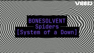 Spiders  System of a Down  Cover [upl. by Anires]