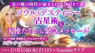 真の風の時代が始まる11月20日までのソウル・デスティニー占星術＆天使たちから緊急メッセージ【スザンナ・ソフィア・ハート】 [upl. by Deena]